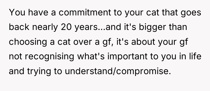 You have a commitment to your cat that goes back...