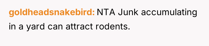 goldheadsnakebird NTA Junk accumulating in a yard can attract rodents.