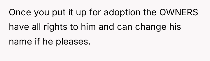 Once you put it up for adoption the OWNERS have...