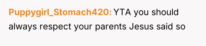 Puppygirl_Stomach420 YTA you should always respect your parents Jesus said...