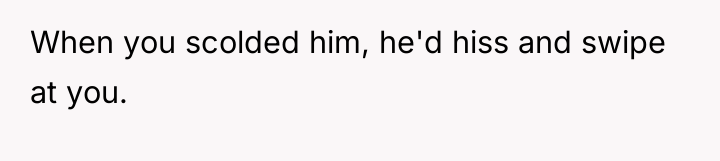When you scolded him, he'd hiss and swipe at you.