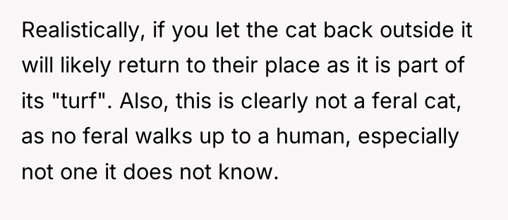 Realistically, if you let the cat back outside it will...