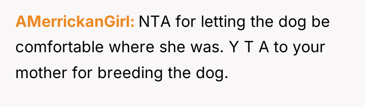 AMerrickanGirl NTA for letting the dog be comfortable where she...