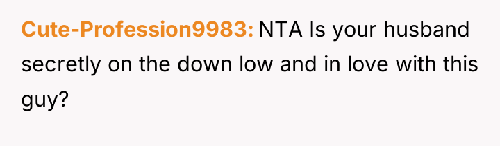 Cute-Profession9983 NTA Is your husband secretly on the down low...