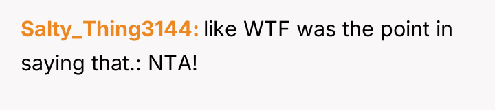 Salty_Thing3144 like WTF was the point in saying that.: NTA!