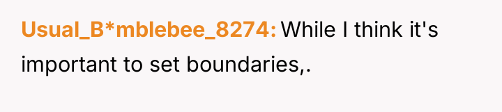 Usual_B*mblebee_8274 While I think it's important to set boundaries,.
