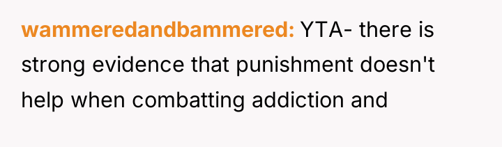 wammeredandbammered YTA- there is strong evidence that punishment doesn't help...