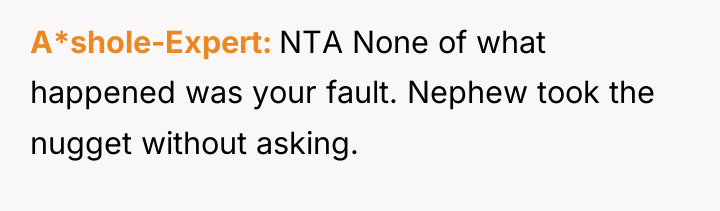 A*shole-Expert NTA None of what happened was your fault. Nephew...