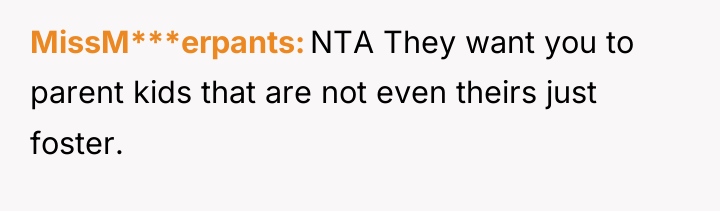 MissM***erpants NTA They want you to parent kids that are...