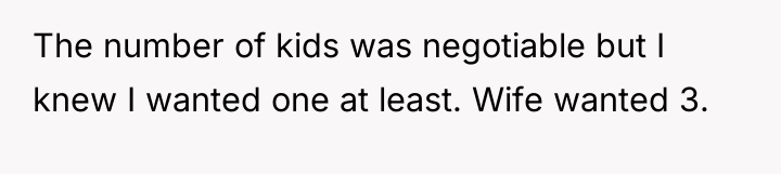 The number of kids was negotiable but I knew I...