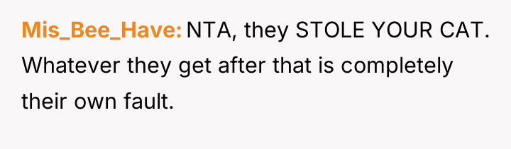 Mis_Bee_Have NTA, they STOLE YOUR CAT. Whatever they get after...