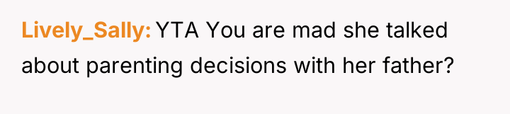 Lively_Sally YTA You are mad she talked about parenting decisions...