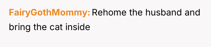 FairyGothMommy Rehome the husband and bring the cat inside