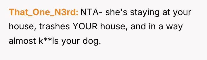 That_One_N3rd NTA- she's staying at your house, trashes YOUR house,...