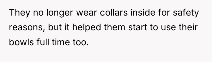 They no longer wear collars inside for safety reasons, but...