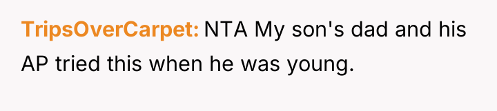 TripsOverCarpet NTA My son's dad and his AP tried this...