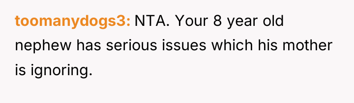 toomanydogs3 NTA. Your 8 year old nephew has serious issues...