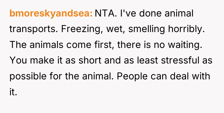 bmoreskyandsea NTA. I've done animal transports. Freezing, wet, smelling horribly....