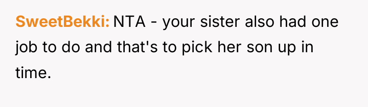 SweetBekki NTA - your sister also had one job to...