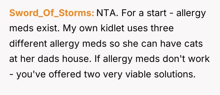 Sword_Of_Storms NTA. For a start - allergy meds exist. My...