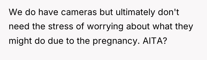 We do have cameras but ultimately don't need the stress...