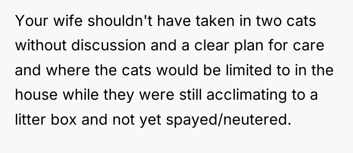 Your wife shouldn't have taken in two cats without discussion...