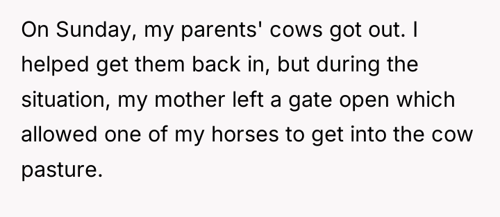 On Sunday, my parents' cows got out. I helped get...