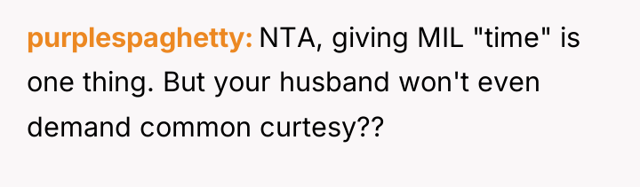 purplespaghetty NTA, giving MIL "time" is one thing. But your...