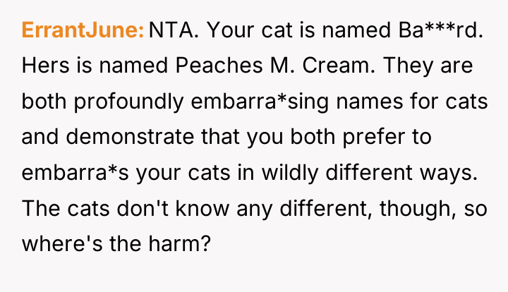ErrantJune NTA. Your cat is named Ba***rd. Hers is named...