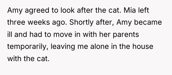 Amy agreed to look after the cat. Mia left three...