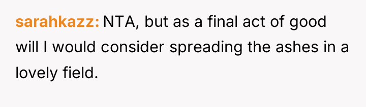 sarahkazz NTA, but as a final act of good will...