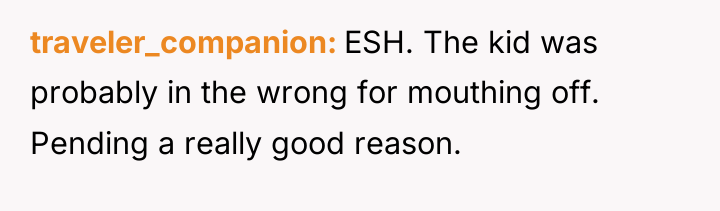 traveler_companion ESH. The kid was probably in the wrong for...