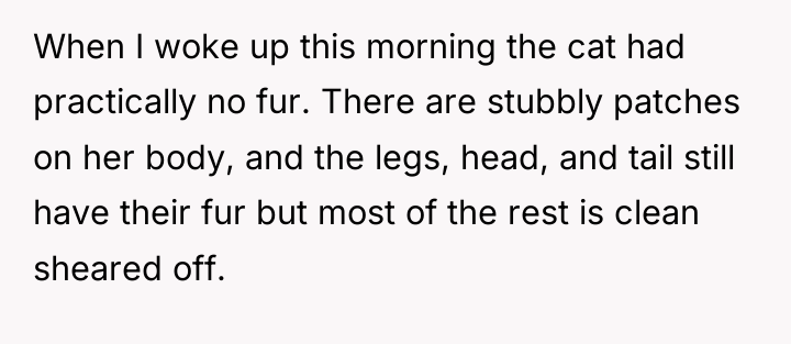 When I woke up this morning the cat had practically...