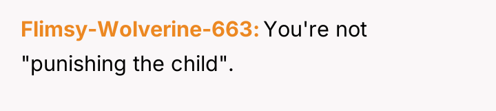 Flimsy-Wolverine-663 You're not "punishing the child".