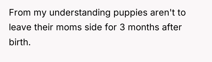 From my understanding puppies aren't to leave their moms side...