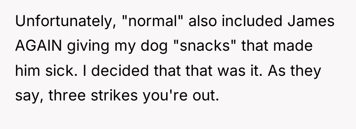 Unfortunately, "normal" also included James AGAIN giving my dog "snacks"...