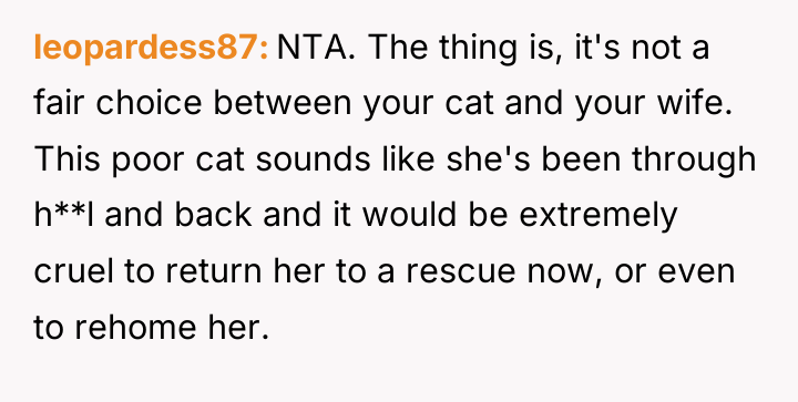 leopardess87 NTA. The thing is, it's not a fair choice...
