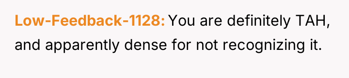 Low-Feedback-1128 You are definitely TAH, and apparently dense for not...