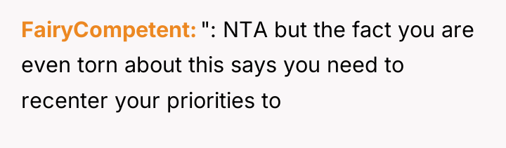FairyCompetent ": NTA but the fact you are even torn...