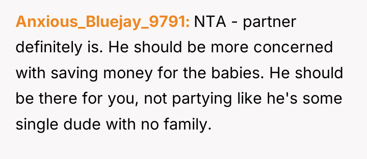 Anxious_Bluejay_9791 NTA - partner definitely is. He should be more...