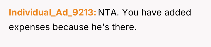 Individual_Ad_9213 NTA. You have added expenses because he's there.