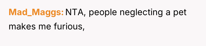 Mad_Maggs NTA, people neglecting a pet makes me furious,