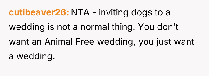 cutibeaver26 NTA - inviting dogs to a wedding is not...