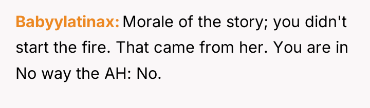 Babyylatinax Morale of the story; you didn't start the fire....