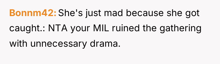 Bonnm42 She's just mad because she got caught.: NTA your...