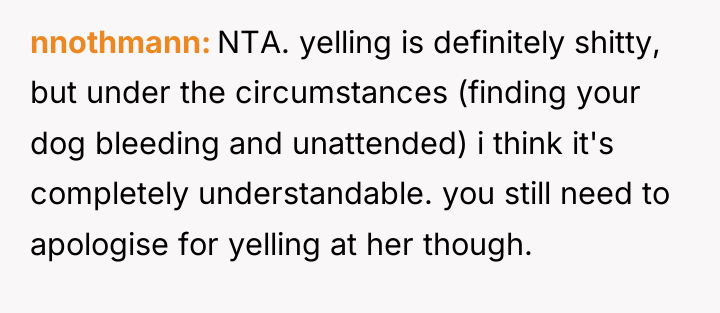 nnothmann NTA. yelling is definitely shitty, but under the circumstances...