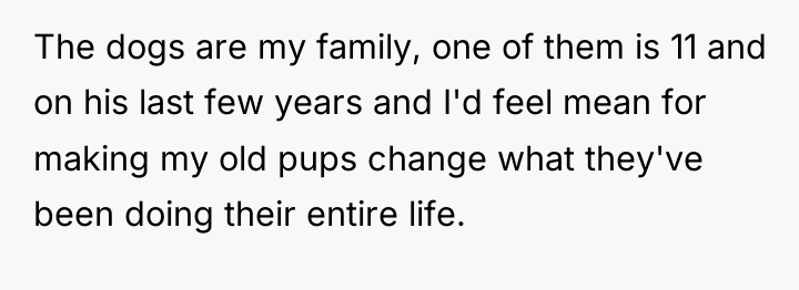 The dogs are my family, one of them is 11...