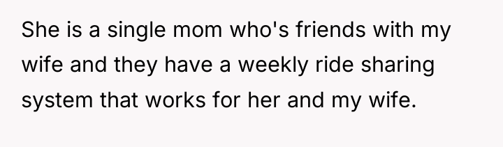 She is a single mom who's friends with my wife...