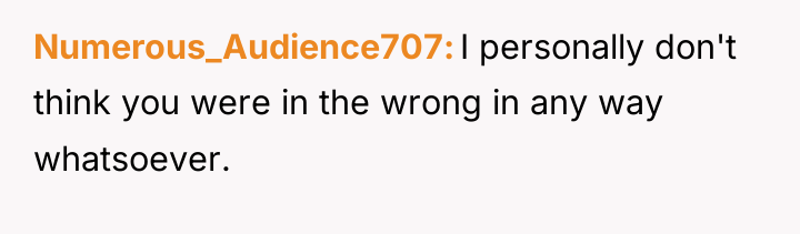 Numerous_Audience707 I personally don't think you were in the wrong...