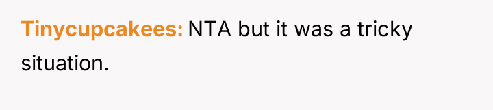Tinycupcakees NTA but it was a tricky situation.